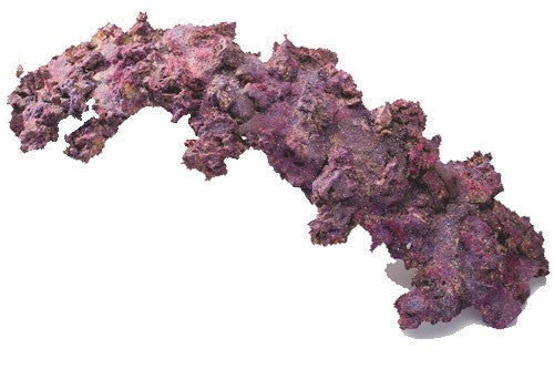 Caribsea Life Rock Arches