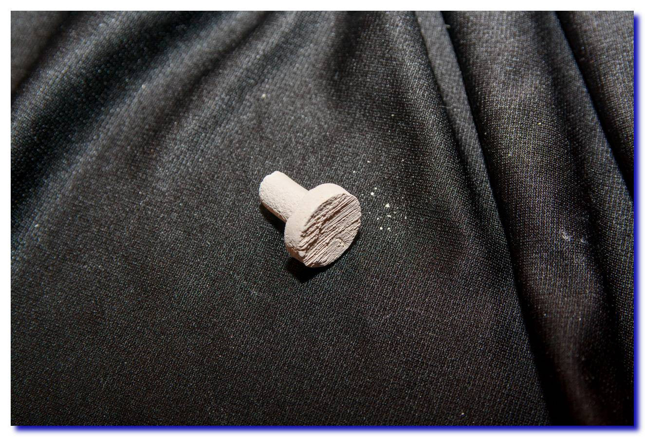 Alternative Reef Frag Plug