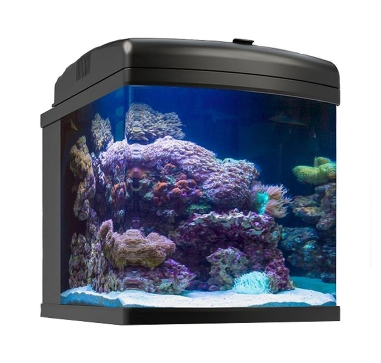 JBJ 28G NANO CUBE AIO - 40W LED Wifi