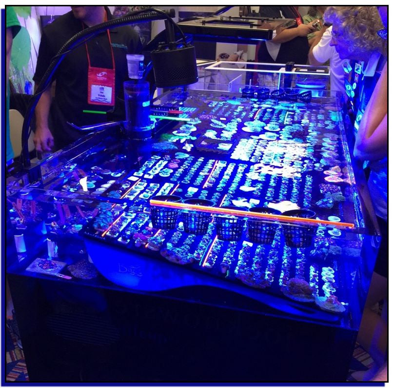 Bashsea Mad Rack