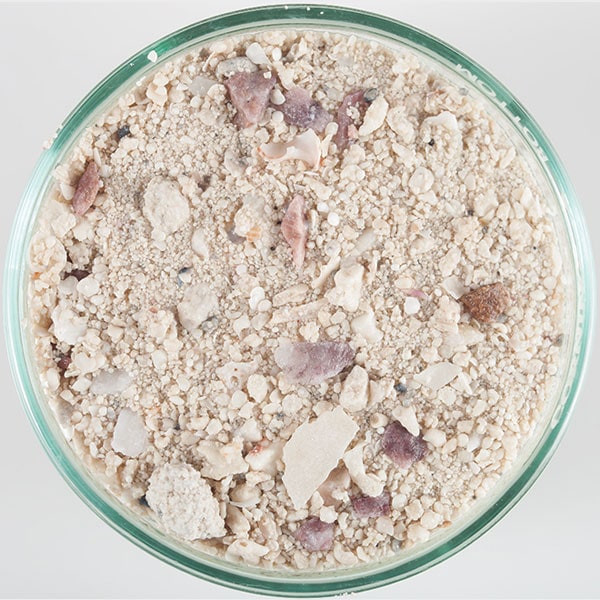 Caribsea Arag Alive Live Sand