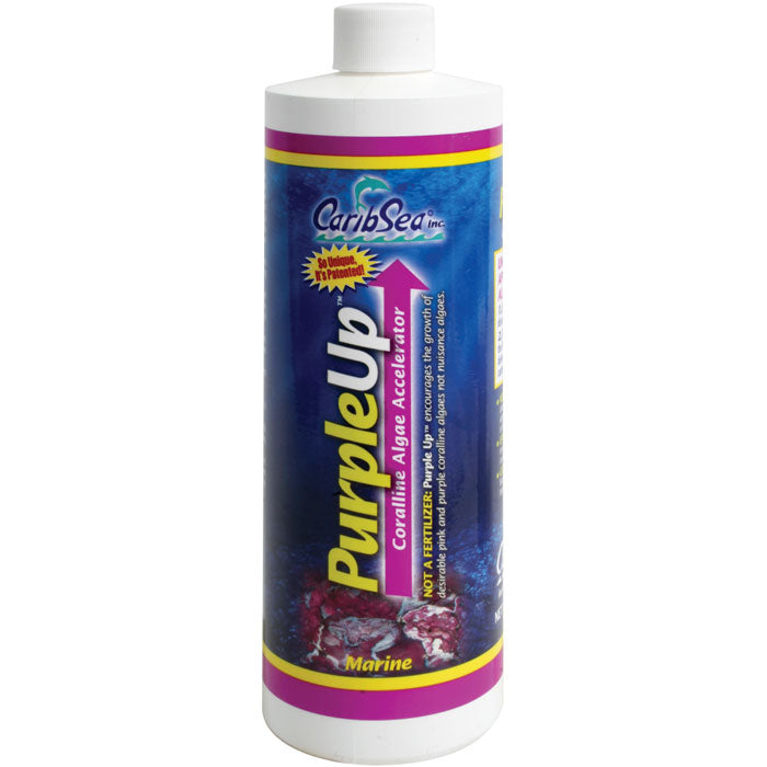 Caribsea Purple Up 8oz