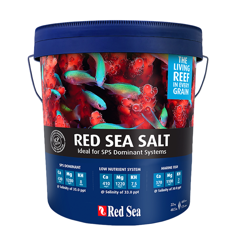 Red Sea Salt