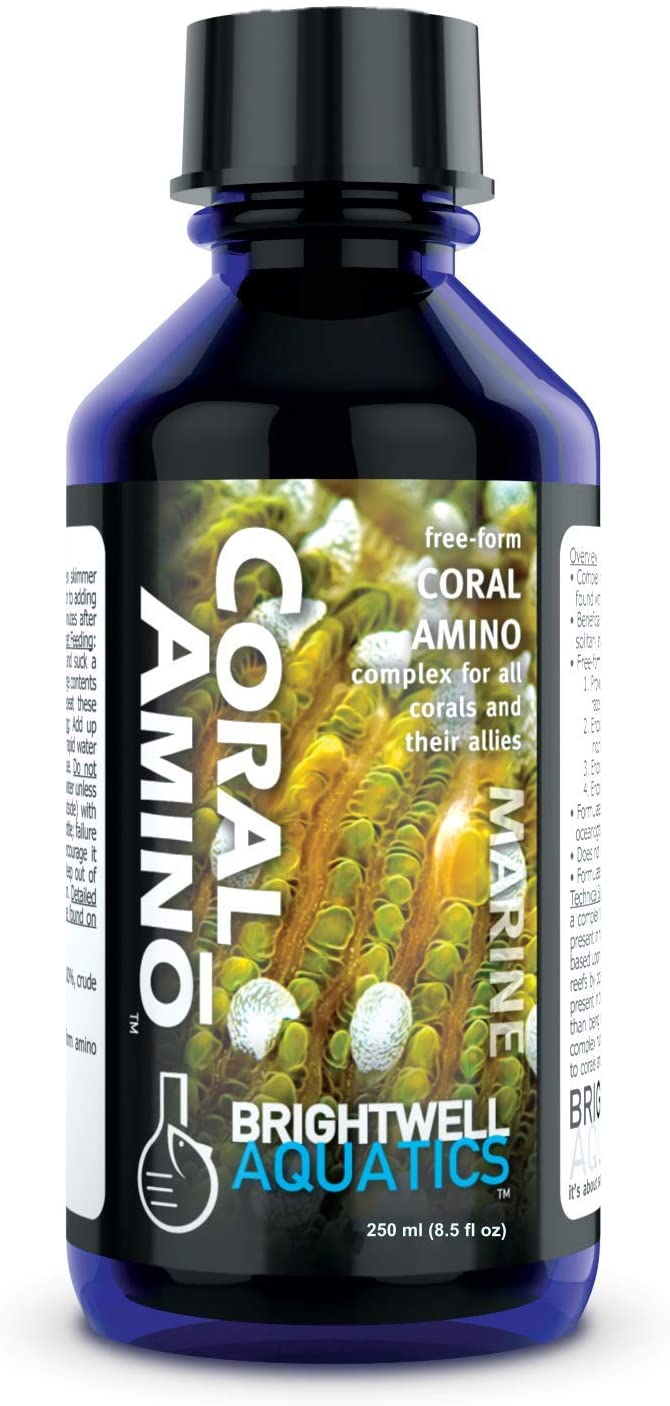 Brightwell CoralAminō - Free Form Amino Acid Supplement for Corals