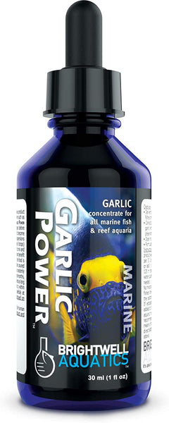 Brightwell Garlic Power - Concentrated Garlic Supplement for Marine Fishes 30ml